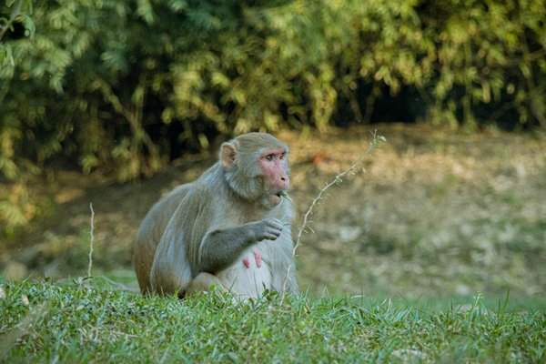 Est-il légal d'installer des caméras de surveillance autour de ma maison ?