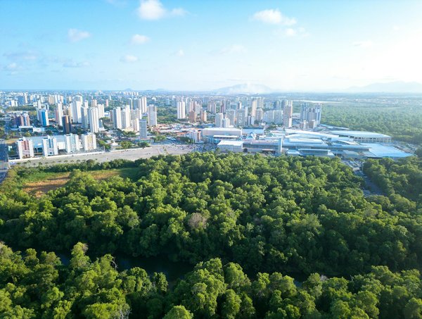 Rituels de Mariage Traditionnels et Leur Signification