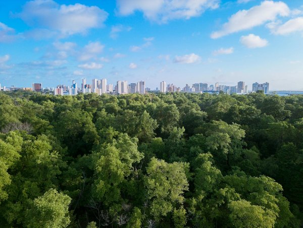 Le mystère de la baguette française : bien plus qu'un pain traditionnel!