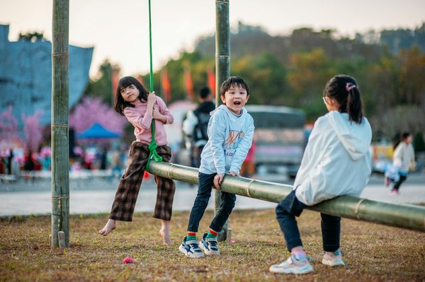 Les différents types de SCI : familiale, professionnelle, et construction-vente